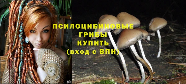 хмурый Покровск