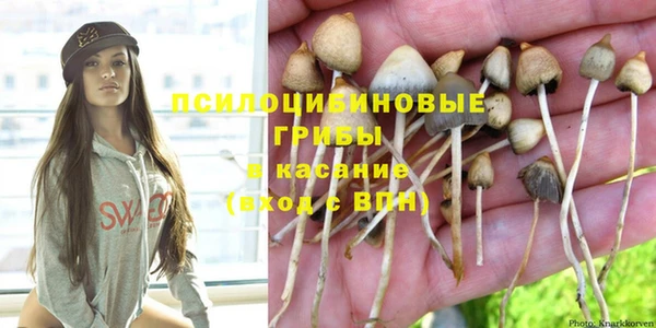 гашишное масло Богданович