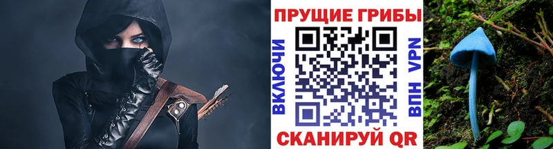 darknet какой сайт  цена   Окуловка  Псилоцибиновые грибы прущие грибы 